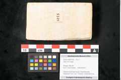 Foto (Objekt + Etikett) von Olea noti Unger (NHMW-GEO-2024-0188-8148)